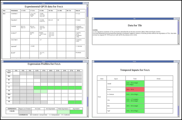 Data Displays