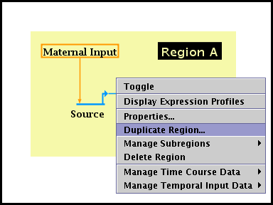 Duplicate Region