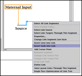 Insert a Node