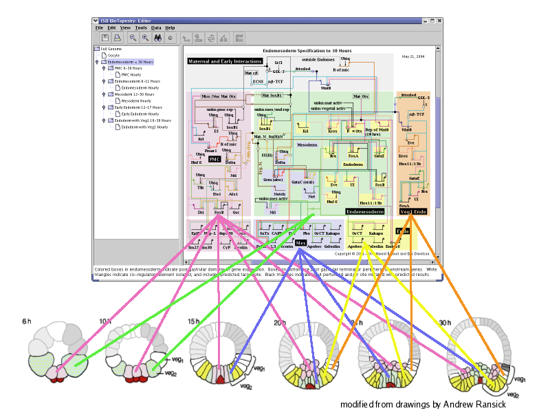 Top-Level Instance Model