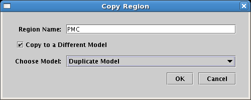Setting Region Copy Destination Model