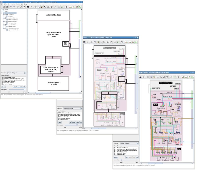 Process Diagram Support