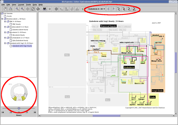 New Version 2.1 Features Highlighted