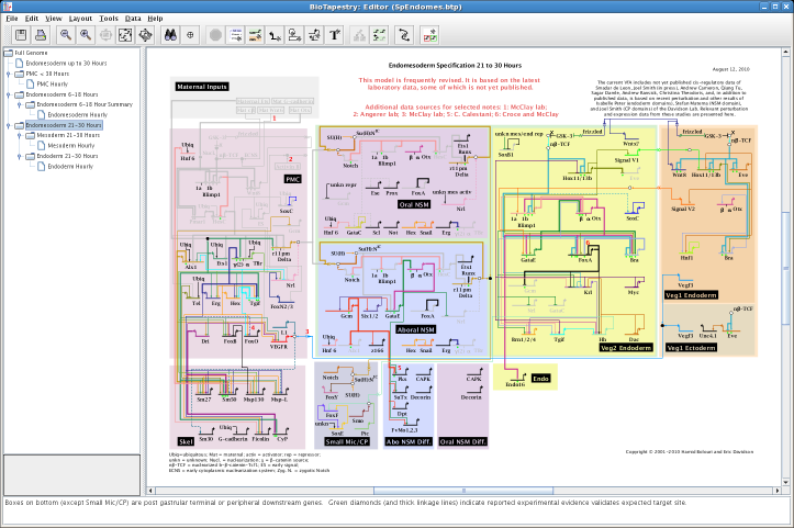 Endomesoderm Screenshot