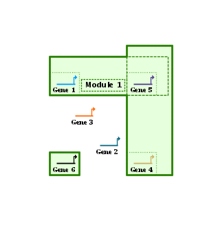 Viewing Module Components