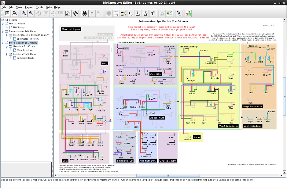 Traditional BioTapestry Desktop Editor