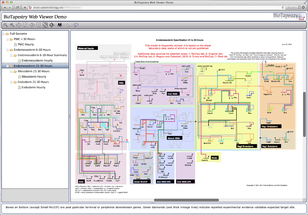 BioTapestry Web Viewer: Safari On Mac