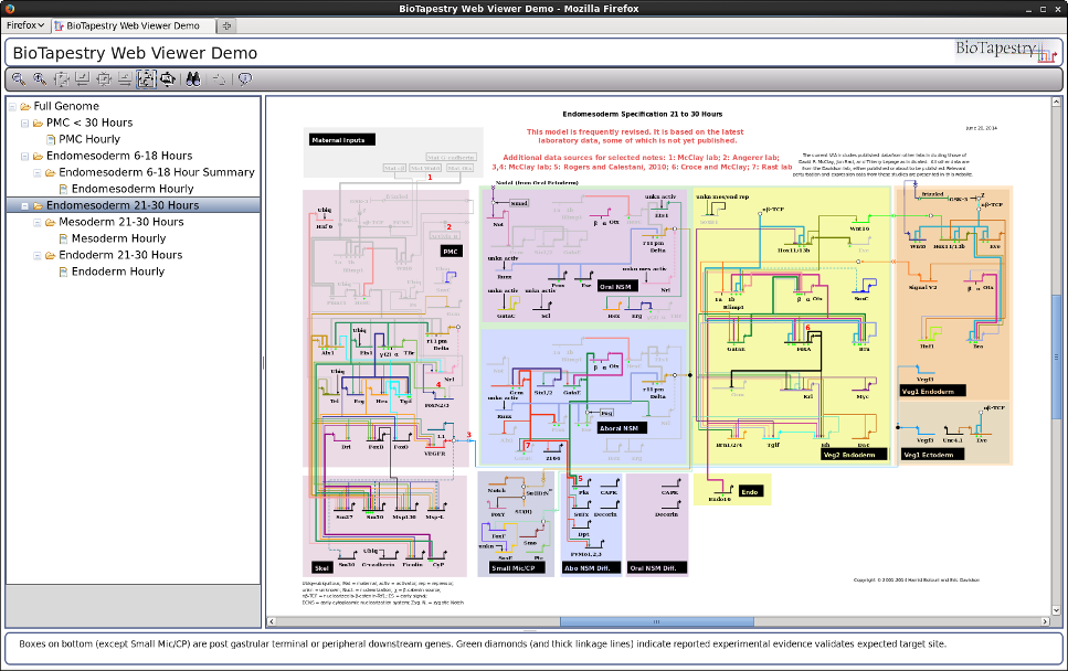 BioTapestry Web Viewer: Firefox on Linux